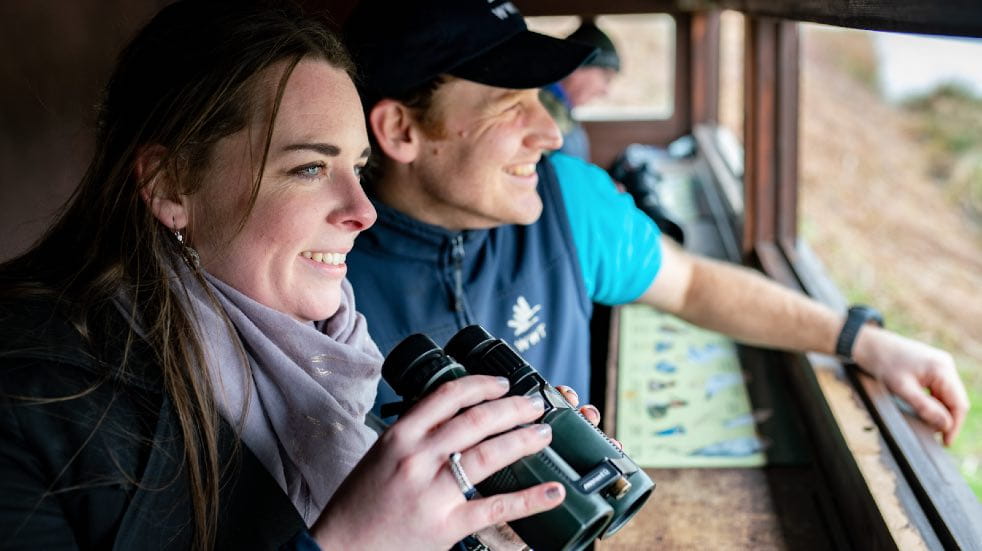 Couple looking out of bird hide